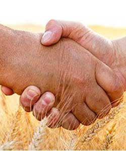 La voluntad es clave para dialogar